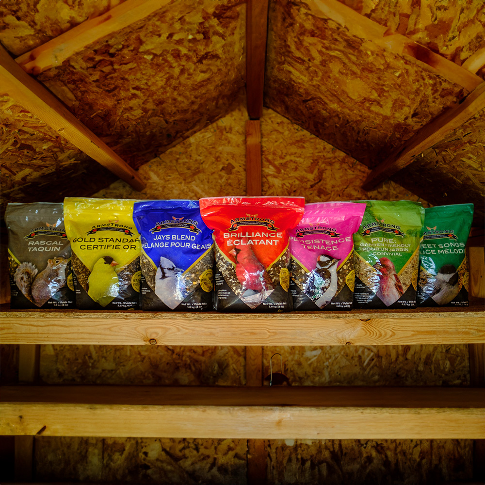 Sweet Songs | Armstrong - Canada's Premier Bird Food